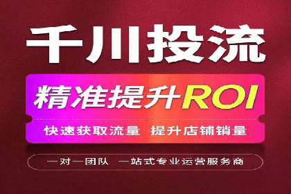 某品牌SEM广告投放的ROI提升案例